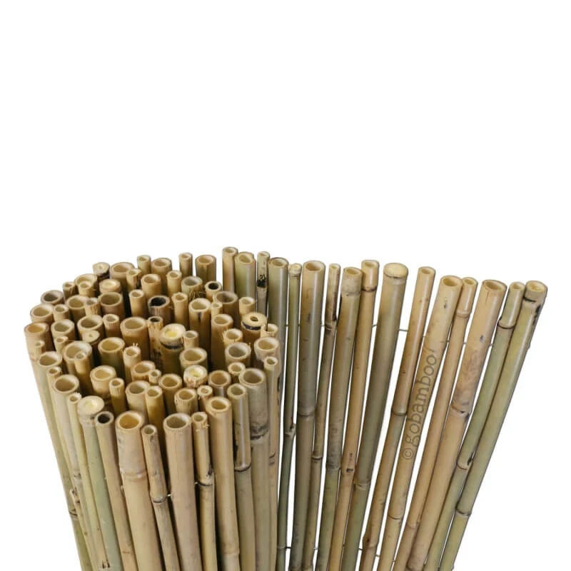 Bambusová rolka Tonkin hrubý